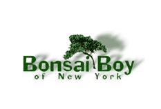 Bonsai Boy of New York