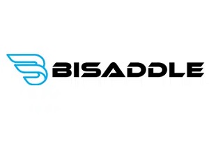BiSaddle